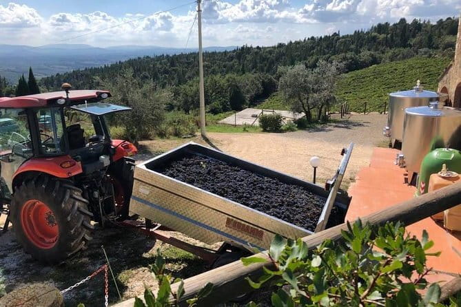 Exclusive Private Tuscany Wine Tour & Food Pairing Session - From Florence to Chianti: The Value of a Private, Private-Vehicle Day
