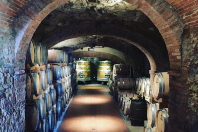 Exclusive Private Tuscany Wine Tour & Food Pairing Session - What You’ll Actually Eat and Taste (And Why It Matters)