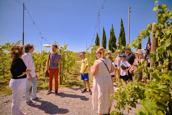 Exclusive Siena and San Gimignano Tour & Chianti Wine Experience - The value check: how a $150 day trip holds up