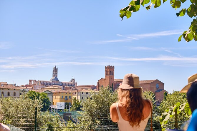 Exclusive Siena and San Gimignano Tour & Chianti Wine Experience - The Chianti stop: tasting, olive oil, and local plates