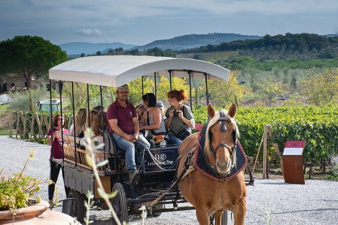 Exclusive Suvereto tour from Florence: Land of Elisa Bonaparte - Key highlights you’ll feel right away