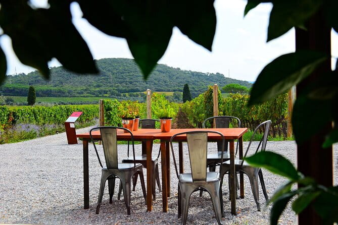 Exclusive Suvereto tour from Florence: Land of Elisa Bonaparte - Getting there from Florence: early pickup, private ride, full-day timing