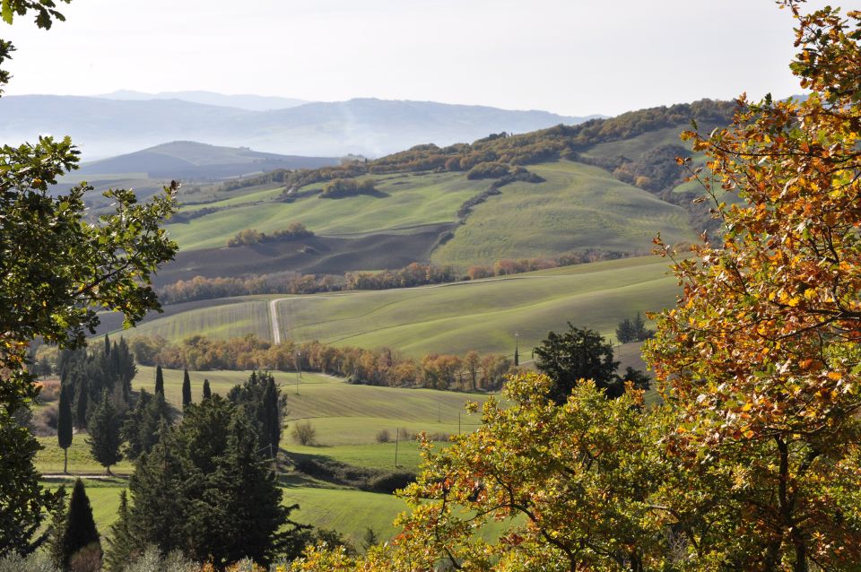 Exclusive Val d’Orcia Full-Day Wine Tour from Florence - Val d’Orcia From Florence: UNESCO views with real wine time