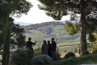 Exclusive Val d'Orcia Tour from Florence - A cinematic universe - Underground Via di Gracciano nel Corso: cellar history you can actually picture