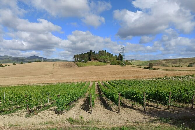 EXCLUSIVE Wine Tour in Chianti & San Gimignano (Lunch & Wine Tasting included) - Private Florence-to-Chianti comfort that actually saves time