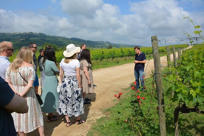 Experience Chianti & Cheese w/ 3 wineries & dairy visit—max 8 pp - Small-group Chianti: what the 8-person limit changes
