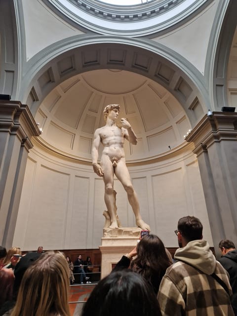 Explore Accademia Gallery on Free Museum Day - The one-hour flow inside Accademia: how you make the most of your time