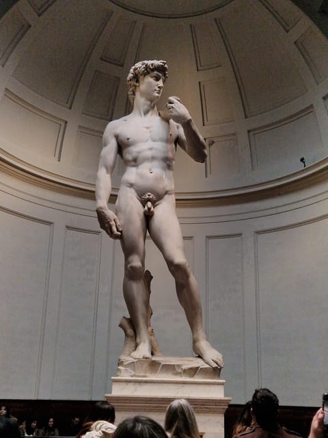 Explore Accademia Gallery on Free Museum Day - Should you book the Accademia David guided tour for Free Museum Day?