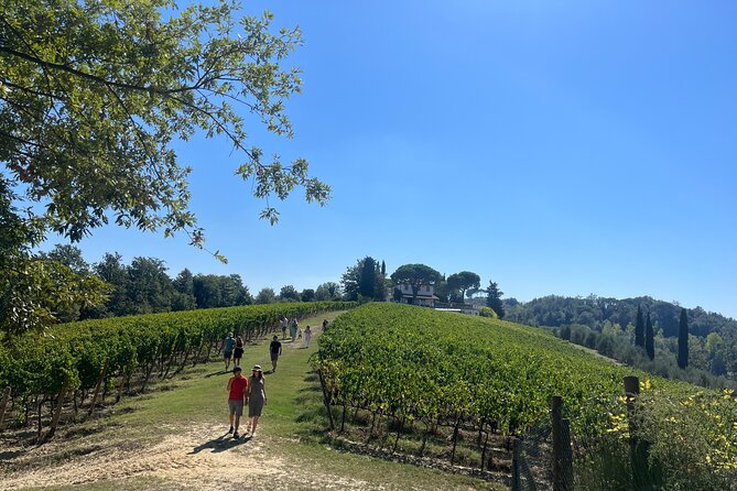 Farm To table Experience on an organic hilltop estate in Tuscany - Farm-to-Table Tuscany That Feels Like a Day With Locals