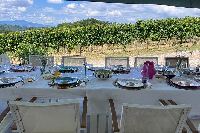 Farm To table Experience on an organic hilltop estate in Tuscany - Hands-On Cooking: A Beginner-Friendly Tuscan Three-Course Lunch