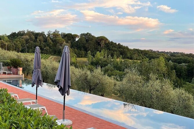 Farm To table Experience on an organic hilltop estate in Tuscany - Wine, Spirits, and Limoncello: Included and Matched to the Meal