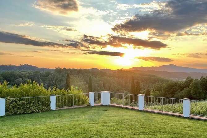 Farm To table Experience on an organic hilltop estate in Tuscany - After Lunch: The 20-Meter Infinity Pool (Salt Water) and a Quiet Pace