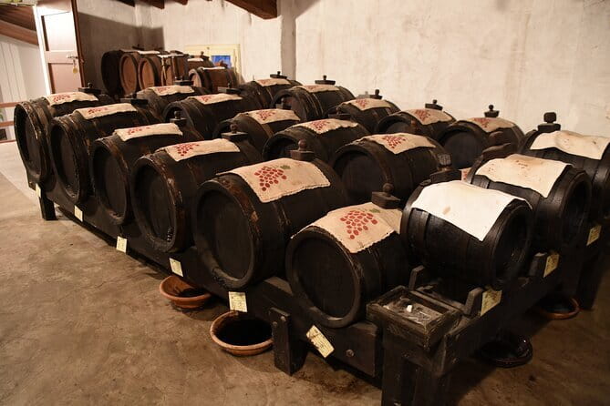 Ferrari Parmesan Cheese Balsamic Vinegar wine & food PRIVATE TOUR from FLORENCE - Who This Tour Suits Best (And Who Might Skip It)