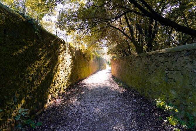 Fiesole Hike & Italian Aperitivo - Olive groves, countryside paths, and the pace that lets you notice details