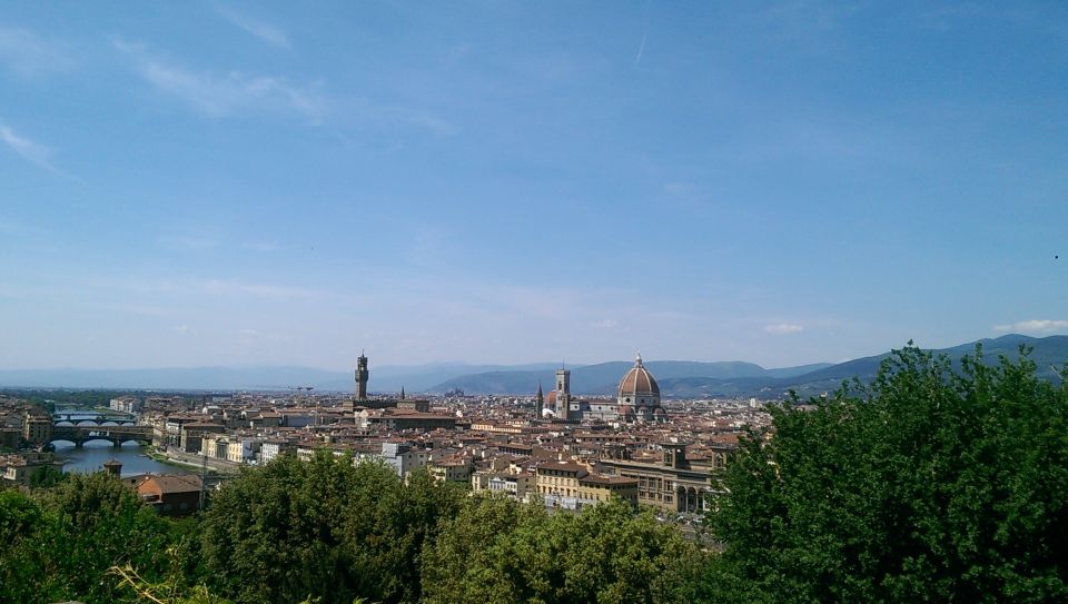 Florence: 4-Hour Private Tour Including Uffizi & Accademia - Accademia Gallery: seeing Michelangelo’s David with a guided plan