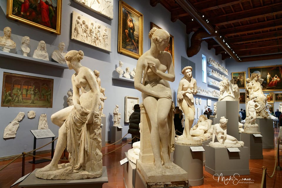 Florence: Accademia Gallery Timed Entry Ticket - Medici musical instruments and original Stradivarius pieces
