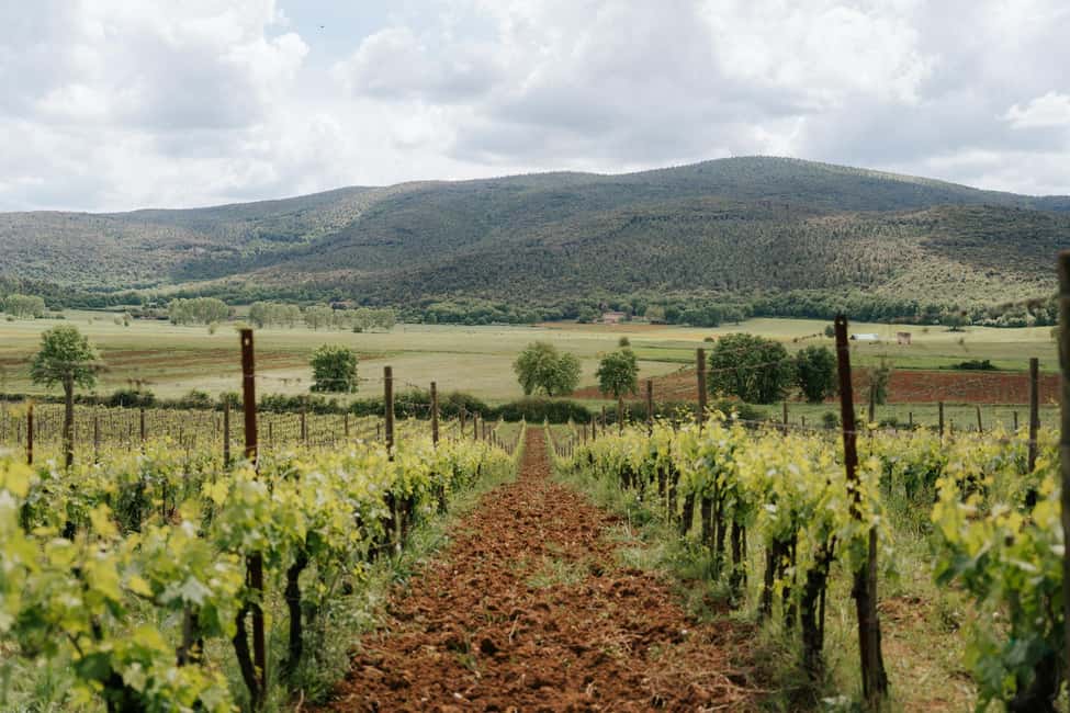 Florence: Best of Tuscany – Siena, Chianti & San Gimignano - Key Highlights You’ll Actually Feel