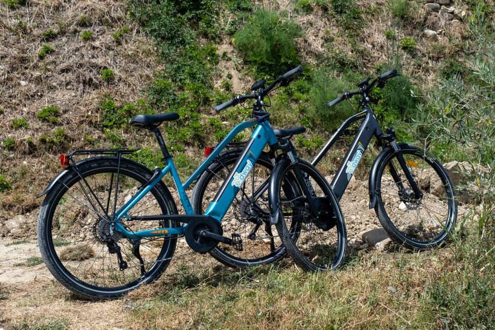 Florence: Chianti E-Bike Tour with Wine Tasting and Lunch - Key things that make this Florence to Chianti e-bike tour special