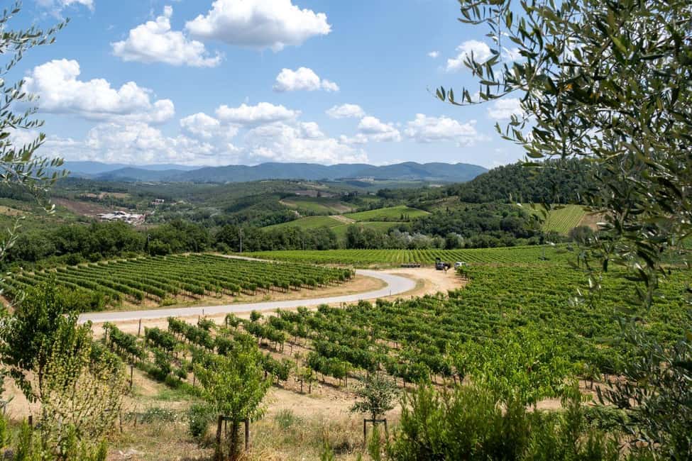 Florence: Chianti E-Bike Tour with Wine Tasting and Lunch - Riding back to Florence: take the lessons you learned