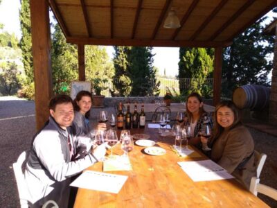 Florence: Chianti Villages, San Gimignano and Winery Tour - Greve in Chianti: your first winery visit and tasting rhythm