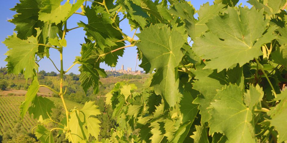 Florence: Chianti Villages, San Gimignano and Winery Tour - Practical tips to make your day smoother