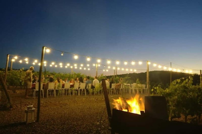 Florence: Chianti Vineyards Tour with Wine Tasting & Dinner - Who this tour suits best