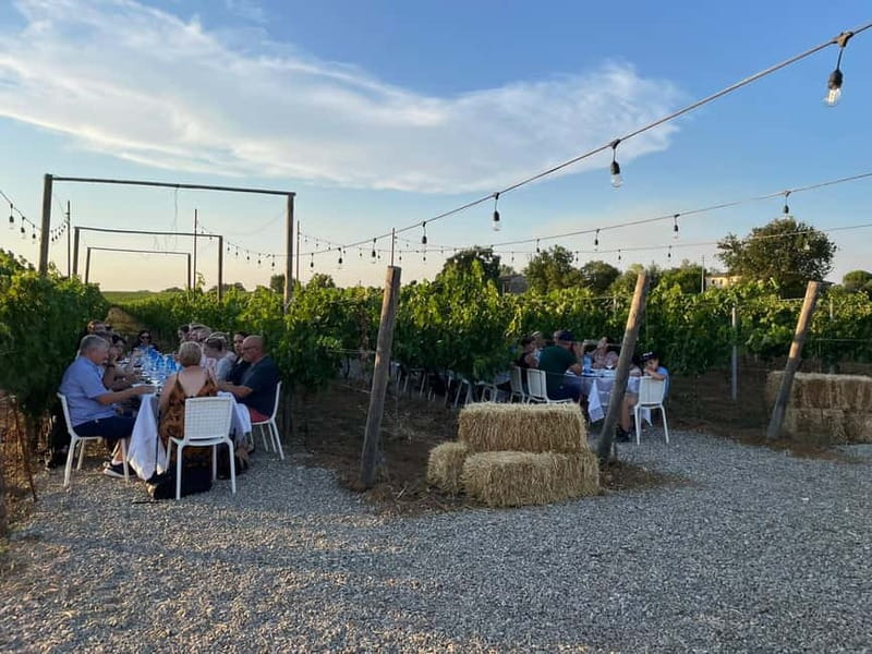 Florence: Chianti Vineyards Tour with Wine Tasting & Dinner - Dinner among the vines: the main event
