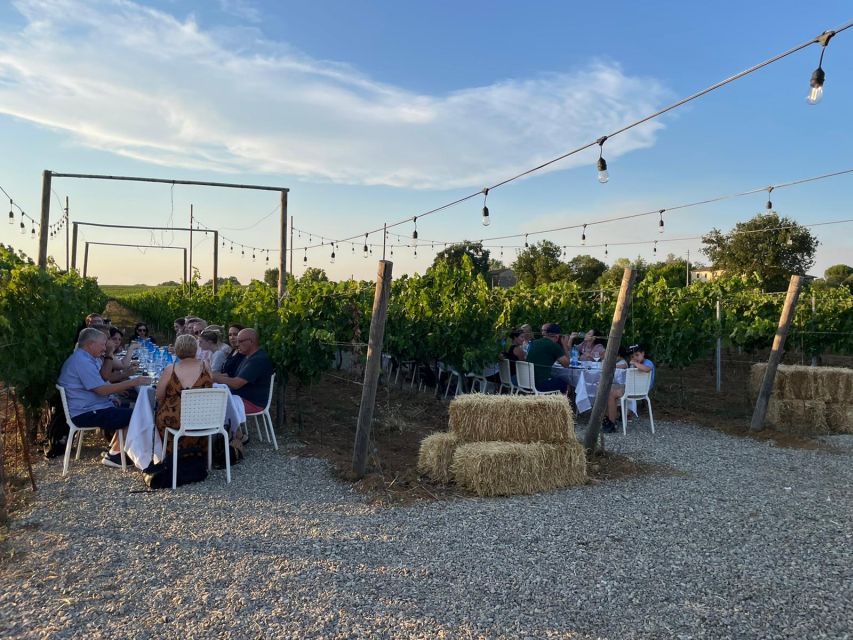 Florence: Chianti Vineyards Tour with Wine Tasting & Dinner - Wine and food “from the farm”: how the tastings connect to dinner