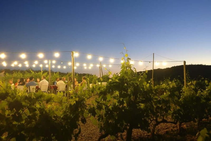 Florence: Chianti Vineyards Tour with Wine Tasting & Dinner - Logistics that can trip you up (and how to plan around them)