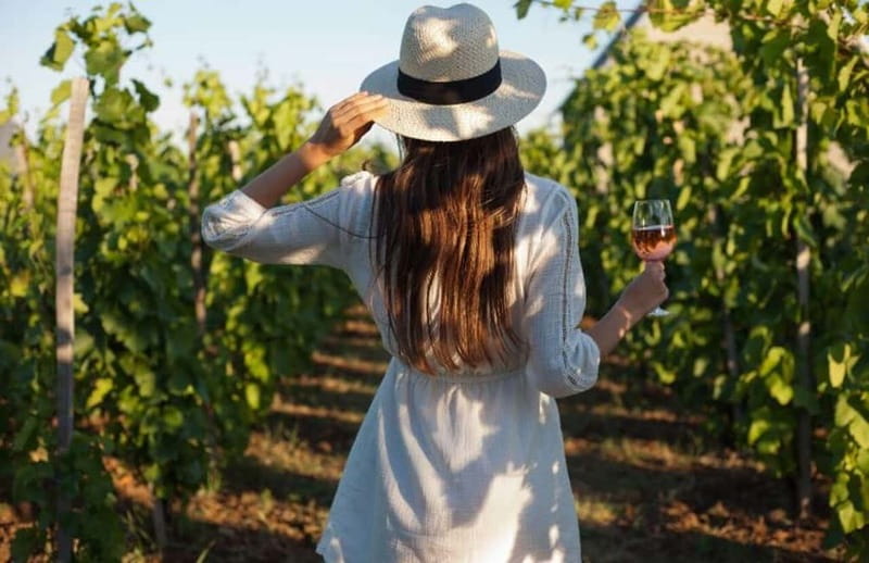 Florence: Chianti Vineyards Tour with Wine Tasting & Dinner - The ride from Florence: comfort, timing, and first impressions