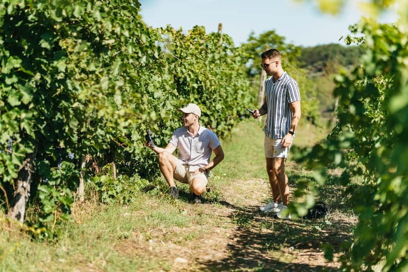 Florence: Chianti Wineries Tour with Wine Tasting - Your first tasting session: how the wines are explained and paced