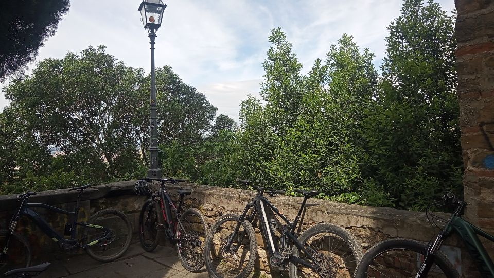 Florence: Country Ebike tour + Wine tasting in organic farm - Enrico’s Guide Style and the Private Group Factor
