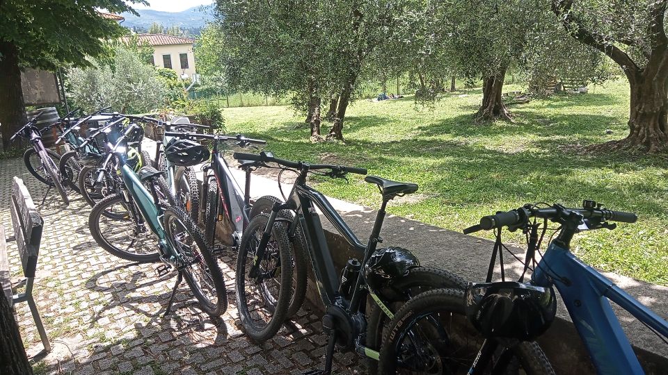 Florence: Country Ebike tour + Wine tasting in organic farm - Who Should Book This Florence E-Bike + Organic Wine Day
