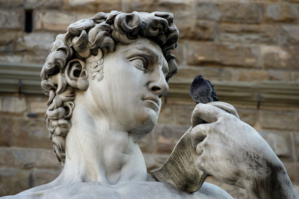 Florence: David's Accademia Gallery Guided Tour - What you’ll see: David plus the sculpture details that change everything