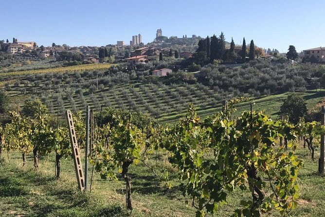 Florence Day Trip to Volterra and San Gimignano - The Ride Out: From Florence Hills to Volterra’s Etruscan Plateau