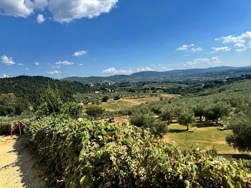 Florence: Fiesole E-Bike Tour with Olive Oil Tasting - The return ride to Florence: easier going, still scenic
