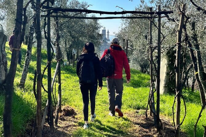 Florence Foodie Tour – Tasting Tuscany’s Local Flavors - Wine and Flavor Lessons: Chianti Classico, Vernaccia, Oil, and Balsamic