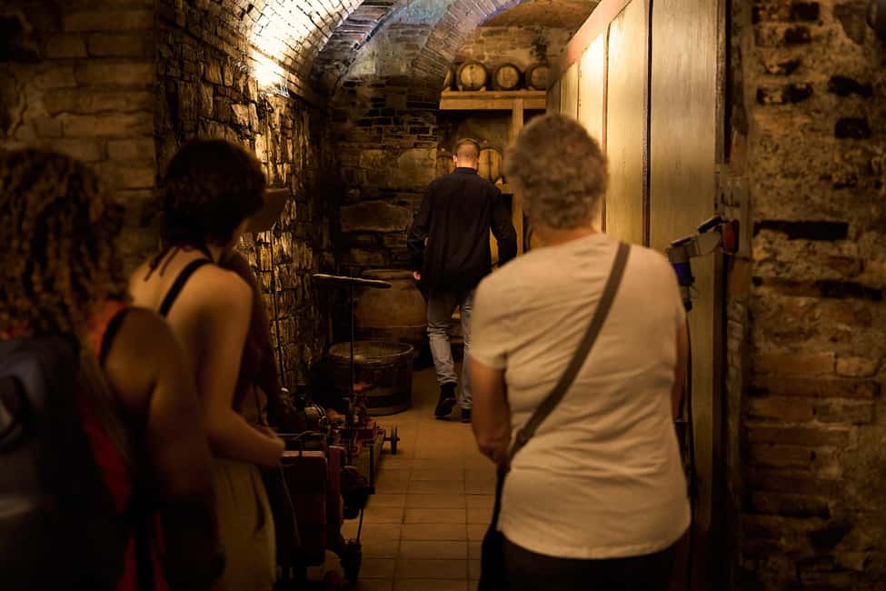 Florence: Great Chianti Wine and Olive Oil Trail with Lunch - The Olive Oil Mill at an Ancient Estate: Where Tuscany Gets Practical