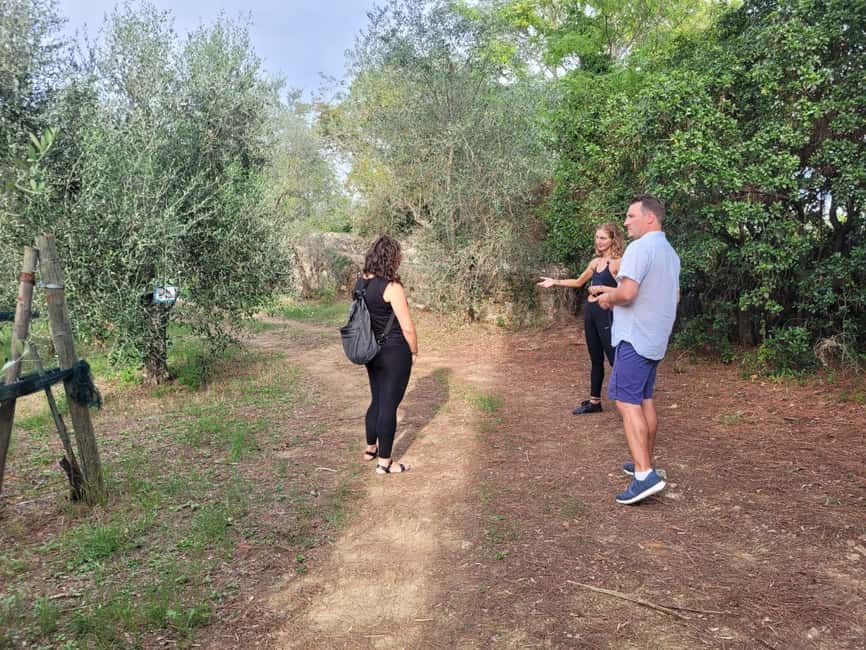 Florence: Half-Day Tuscan Countryside E-bike Tour with Wine - Price and value: is $134.81 fair for 4 hours?