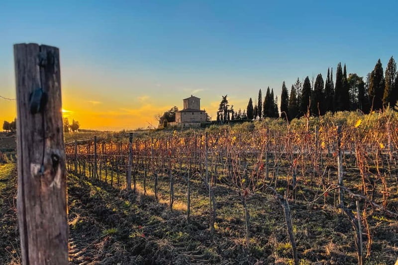 Florence: Hiking Tuscany & Chianti wine 3 wineries and lunch - Key highlights to know before you go