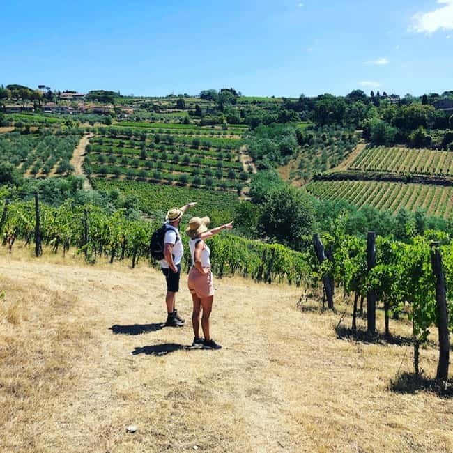 Florence: Hiking Tuscany & Chianti wine 3 wineries and lunch - Walking Chianti Classico the practical way