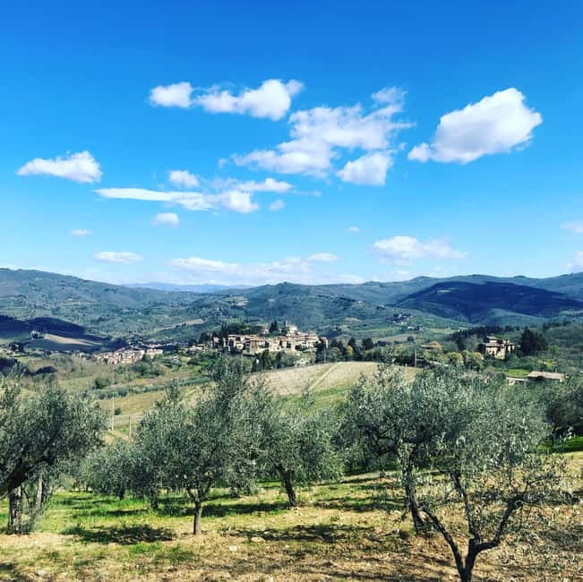 Florence: Hiking Tuscany & Chianti wine 3 wineries and lunch - Hiking between wineries: olive groves, vineyard paths, and flexibility
