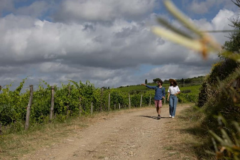 Florence: Hiking Tuscany & Chianti wine 3 wineries and lunch - Lunch and winery stop 2: three generations at work