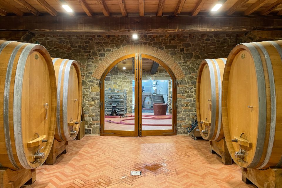 Florence: Hiking Tuscany & Chianti wine 3 wineries and lunch - Tastings you’ll actually remember