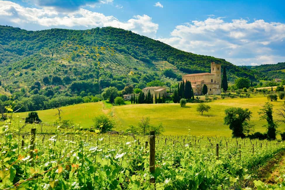 Florence: Orcia Valley, Montalcino, Pienza with Lunch & Wine - Food, wine, and what “three tastings” really means on a day like this