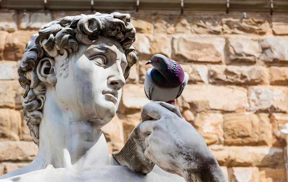 Florence: Piazza della Signoria & David - Anti Walking Tour - The 45-Minute Outdoor David Lesson (No Accademia Tickets Needed)