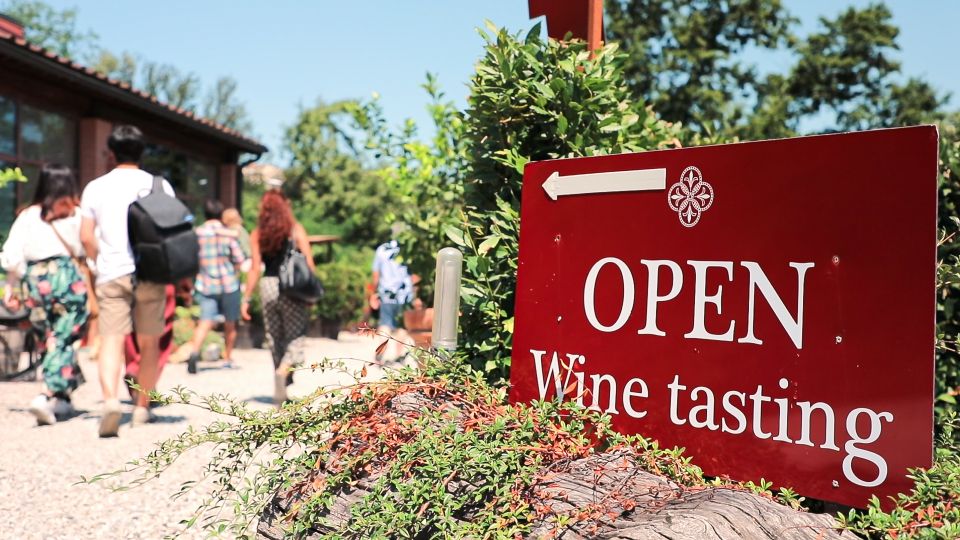 Florence: Pisa, Siena, S. Gimignano, Chianti Wine & Lunch - Price and value at $77: when it’s a smart deal and when it isn’t