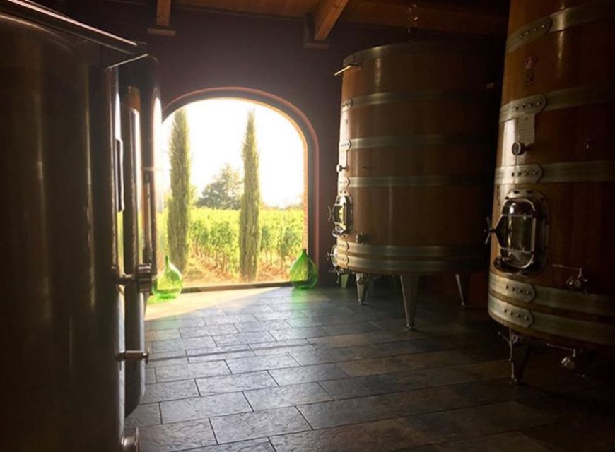 Florence: Private Full-Day Brunello Wine Tour to Montalcino - Stop before Montalcino: your first taste of the Brunello approach