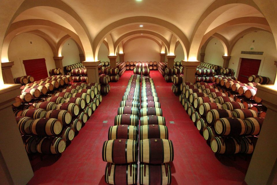 Florence: Private Full-Day Brunello Wine Tour to Montalcino - Podere il Cocco: premium quality, tiny output, and organic production