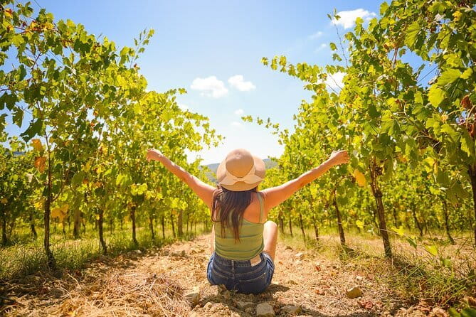 Florence: Private Half-Day Chianti Tour and Wine Tasting Optional - Price and Value: What You’re Really Paying For